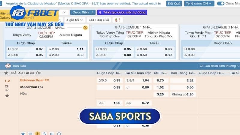 Hướng dẫn chi tiết các bước chơi cá cược tại sảnh thể thao F8BET