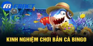 Bí quyết chơi thắng lớn khi tham gia bắn cá Bingo