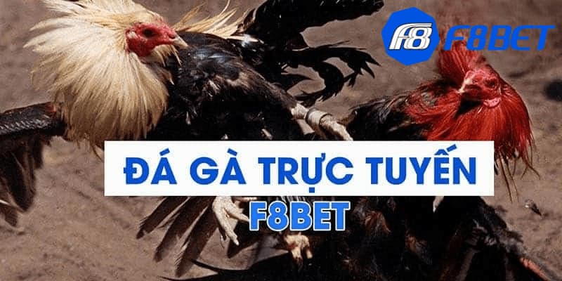 Lợi thế khi anh em tham gia chơi đá gà F8bet