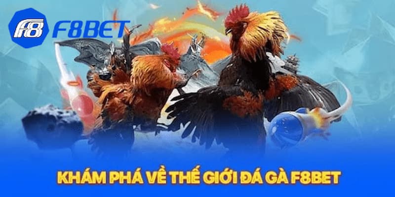 Mẹo để chơi thắng lớn game đá gà F8bet