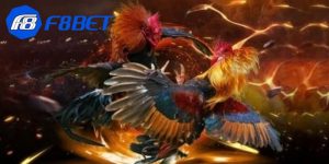 Kèo cược đá gà online là gì?