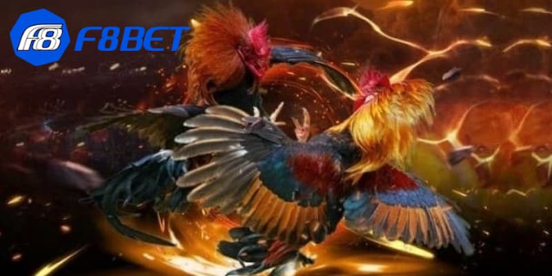 Kèo cược đá gà online là gì?