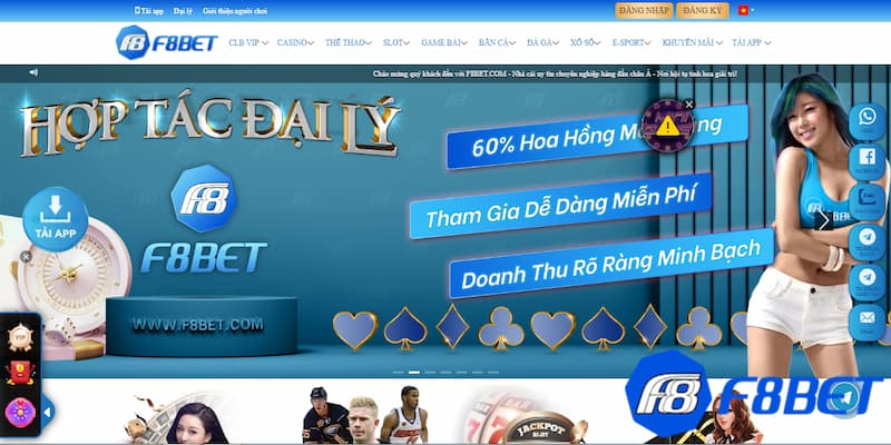 Những sản phẩm chơi cực đã khi tìm hiểu về chúng tôi