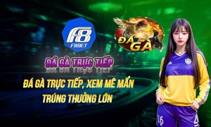 đá gà trực tiếp
