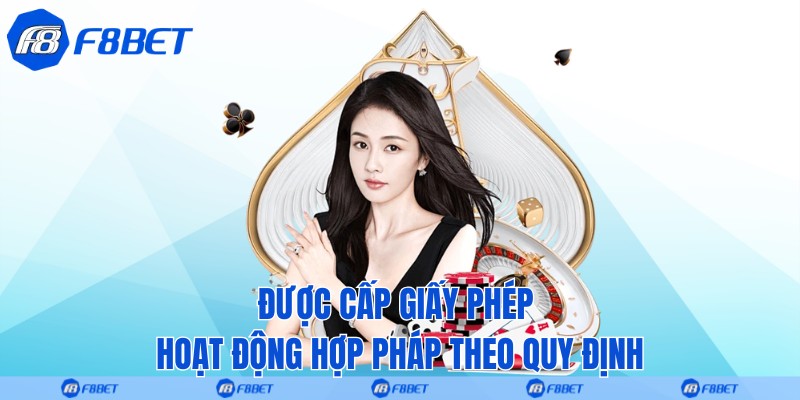 Được cấp giấy phép hoạt động hợp pháp theo quy định